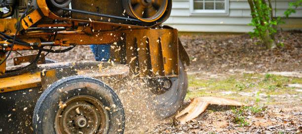 Morayfield Landscaping Supplies