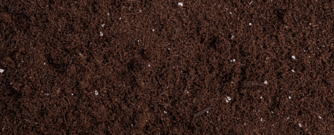 Organic Potting Soil Mix