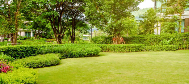 Landscaping Supplies Near Me