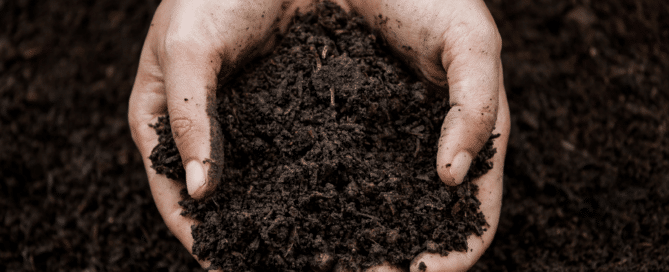 Soil in hand for planting