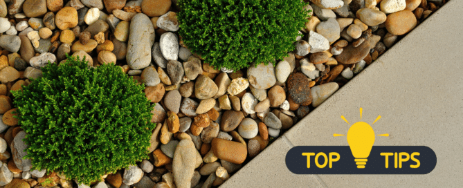 Landscape outdoor garden design
