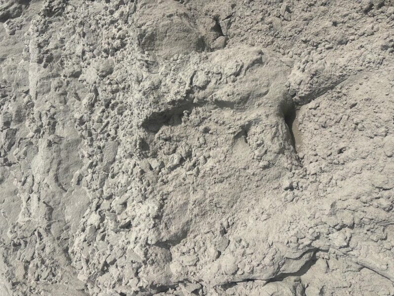 Sand and Loam Caboolture | Quality You Can Trust