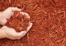 Bark-Mulch-Img