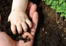 Soil-Img